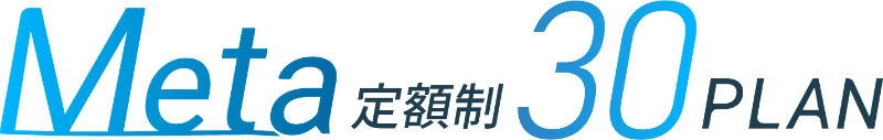 メタ定額制30プラン